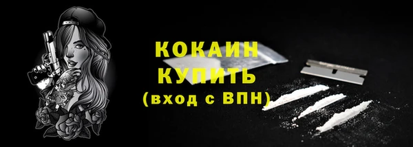 прущая мука Инта