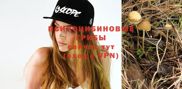 прущие крисы Инсар