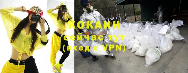 стаф Зеленокумск