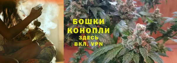 прущие крисы Инсар