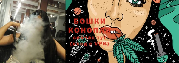 индика Дедовск