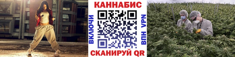 Конопля марихуана  Каргополь 